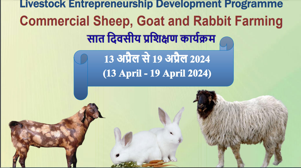 Livestock Entrepreneurship Development Programme Commercial Sheep, Goat ...