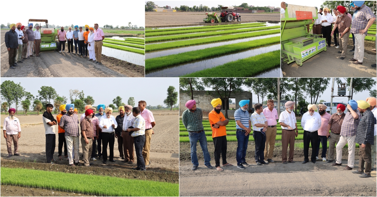 PAU Organizes Field Demonstration on Mat Type Nursery Seeder AgriBot