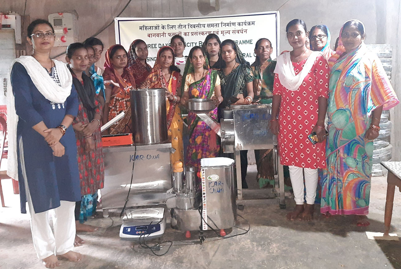Three days Capacity Building Programme on Processing & Value Addition of Horticultural Crops through Custom Hiring Centre